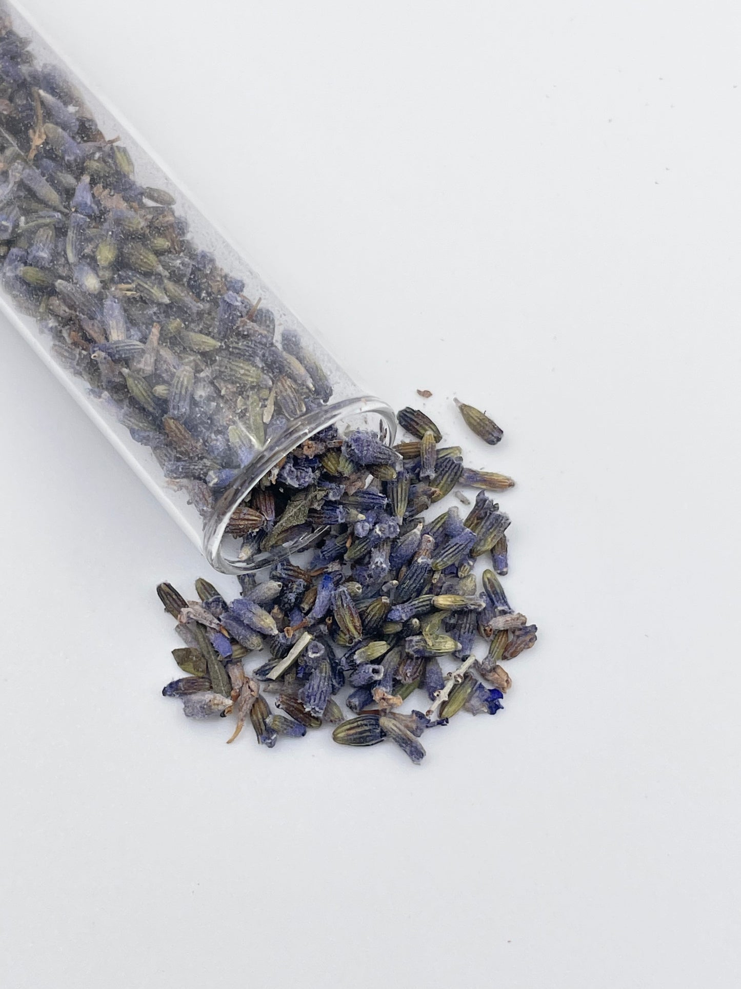 Lavendel